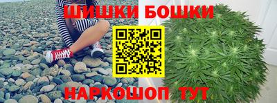 крисы Вязьма