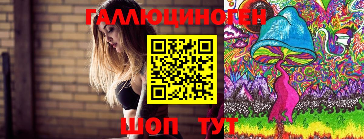 Псилоцибиновые грибы мицелий Сыктывкар